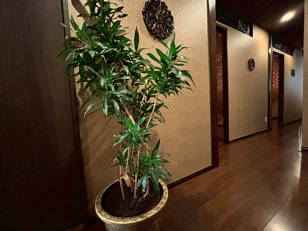 三島市にあるマッサージ店「リラクゼーションサロンLotus(ロータス)」の通路写真